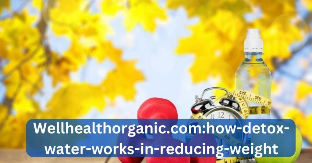Wellhealthorganic.com:how-detox-water-works-in-reducing-weight