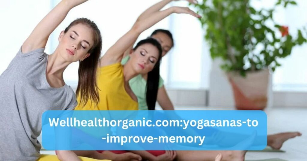 Moreover, yoga has the potential to boost memory retention, a particularly noteworthy benefit in the modern world. In this comprehensive guide, we will explore how specific yogasanas, or yoga poses, can enhance memory, along with the broader benefits of yogasanas.