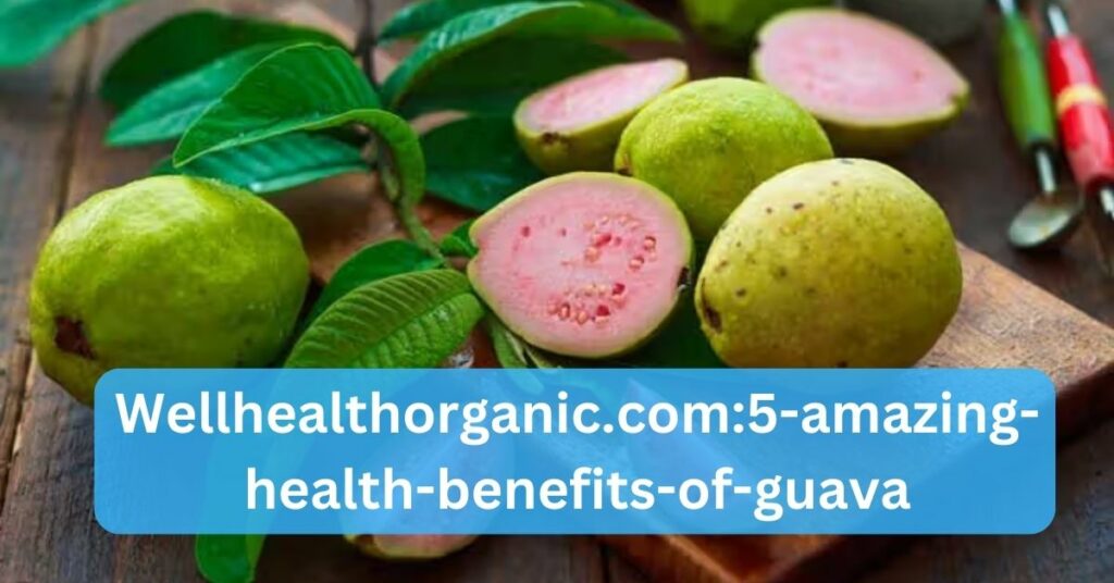 Beyond its delectable taste, guava serves as a natural source of vitality, contributing to your overall well-being.