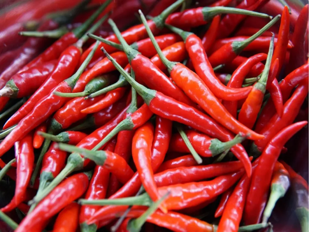 Benefits of Red Chili: