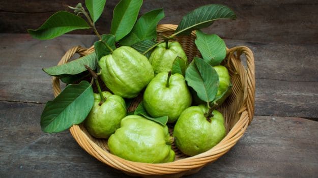 Guava Nutritional Powerhouse - Fuel Your Health with Every Bite
