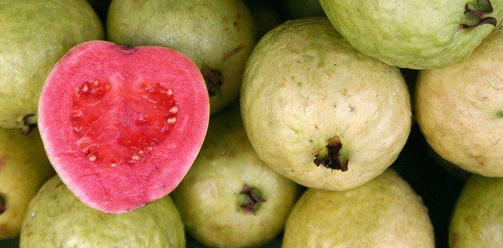 Some straightforward facts about guava fruit