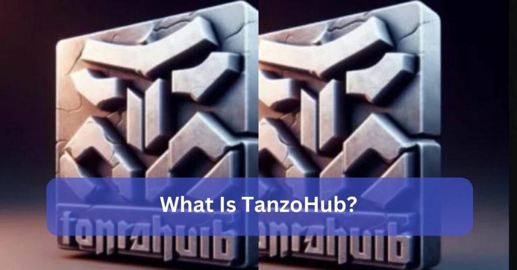 What Is TanzoHub